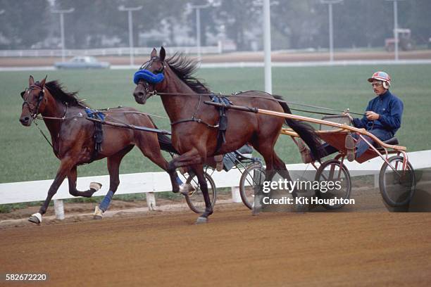 Red Mile Races 5,343 The Red Mile Stock Photos, High-Res Pictures, and Images - Getty ...