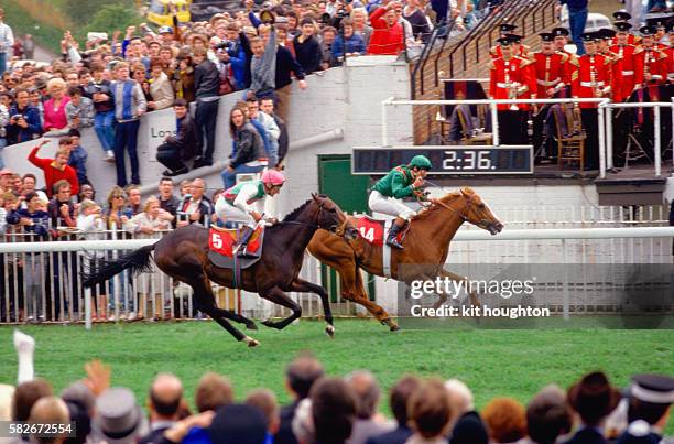 Dancing Horse Photos and Premium High Res Pictures Getty Images