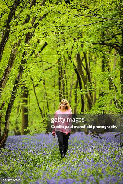 lady walking in bluebell wood - bluebell wood foto e immagini stock