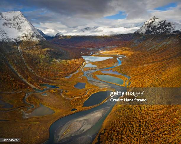 rapa valley in fall in sweden's sarek national park - sarek photos et images de collection