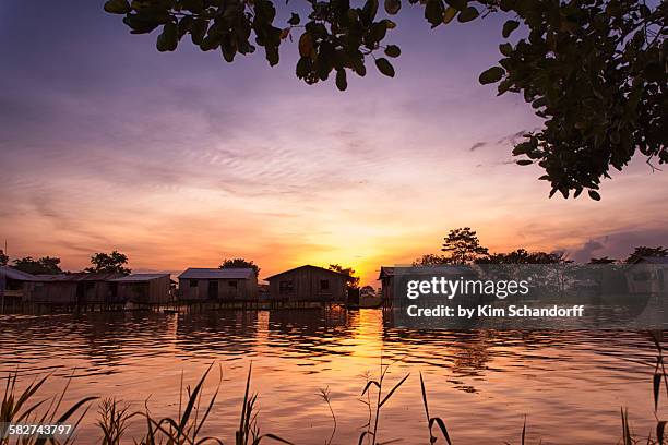 later afternoon in leticia - indigenous culture stock pictures, royalty-free photos & images