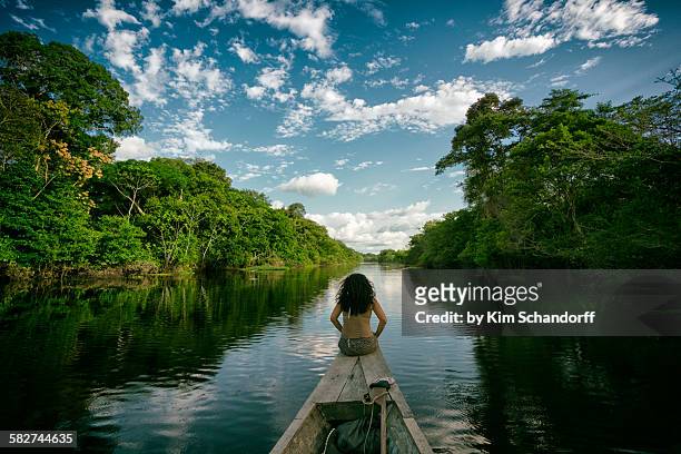 peruvian nature - regione amazzonica foto e immagini stock