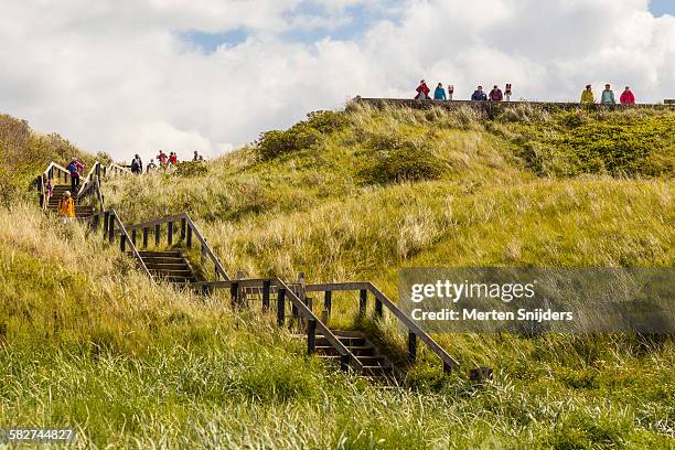the slufter nature reserve - waddeneilanden stockfoto's en -beelden