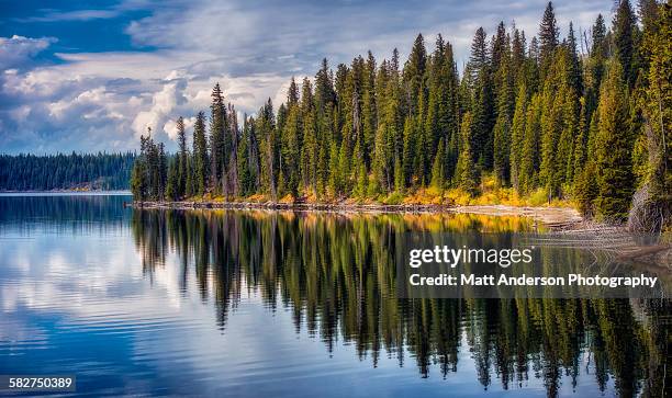 jenny lake reflections, grand teton national park - grand teton national park - fotografias e filmes do acervo