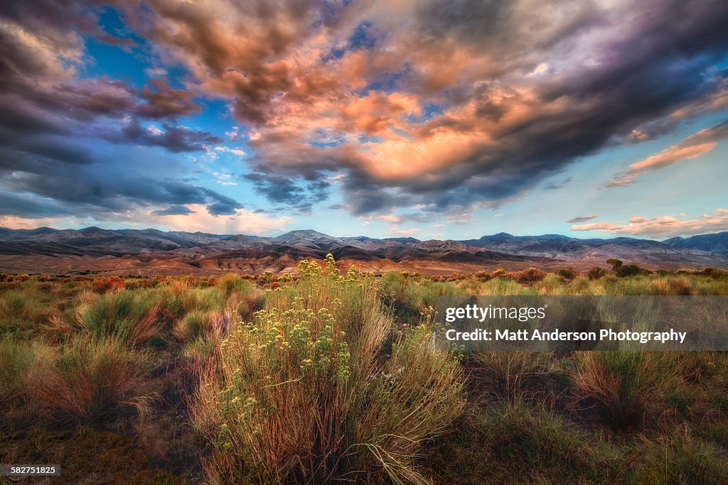 The all american landscape
