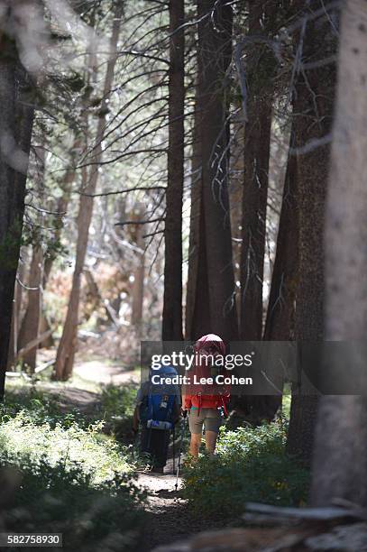 couple backpacking in king's canyon national park - bishop foto e immagini stock