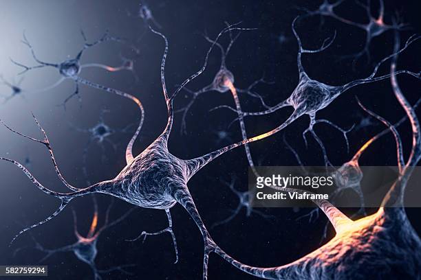 neuron system - biomedical illustration stockfoto's en -beelden