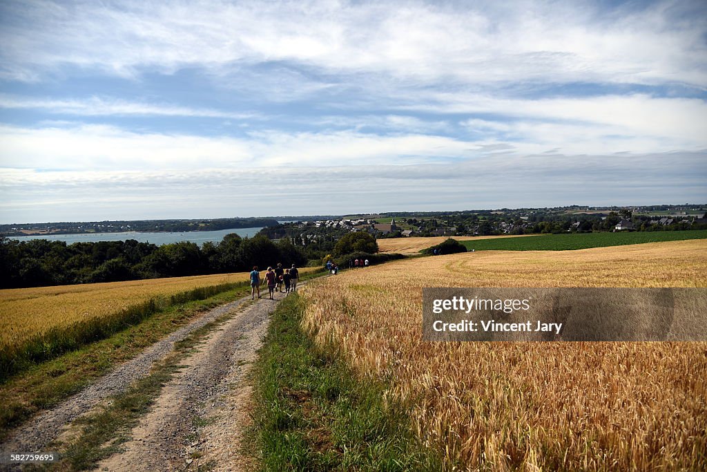 Ille et Vilaine landscape