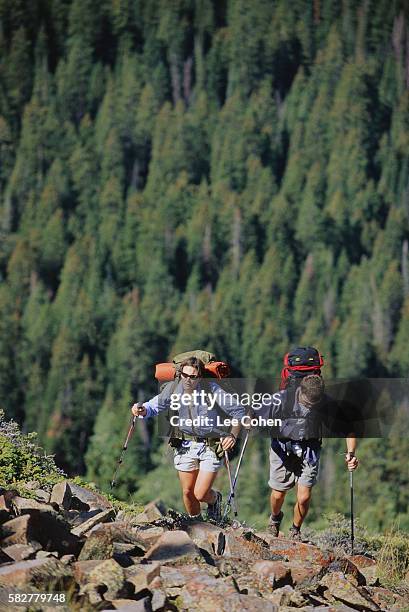 hiking in the wasatch national forest - hiking pole stock pictures, royalty-free photos & images