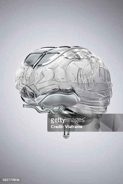 human brain model made of glass - smart glass stock-fotos und bilder