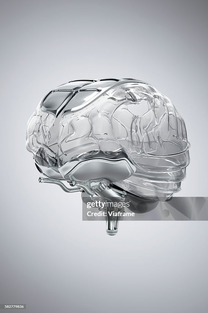 Human Brain model made of glass