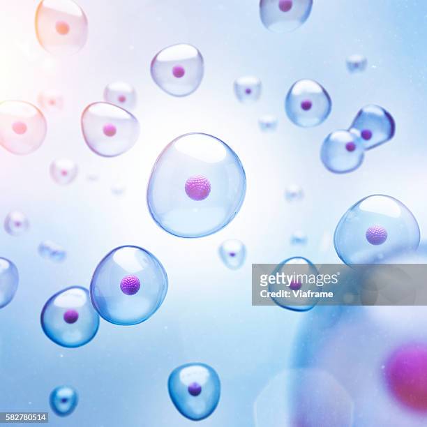 cells with magenta colored core - ampliação - fotografias e filmes do acervo