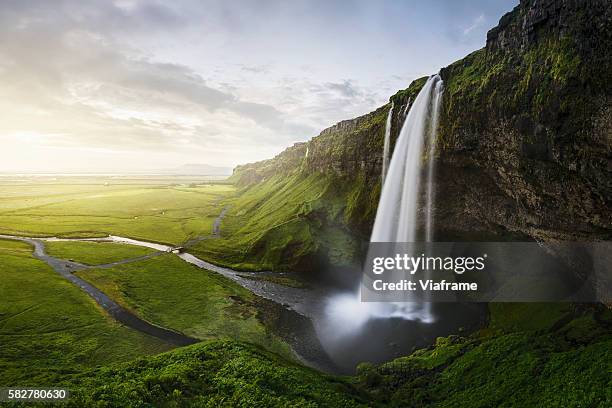 seljalandsfoss waterfall - iceland landscape stock pictures, royalty-free photos & images