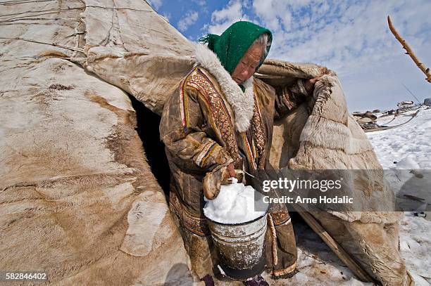 267 Nenets People Stock Photos, High-Res Pictures, and Images - Getty
