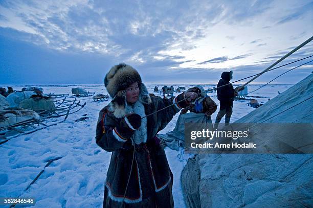 267 Nenets People Stock Photos, High-Res Pictures, and Images - Getty
