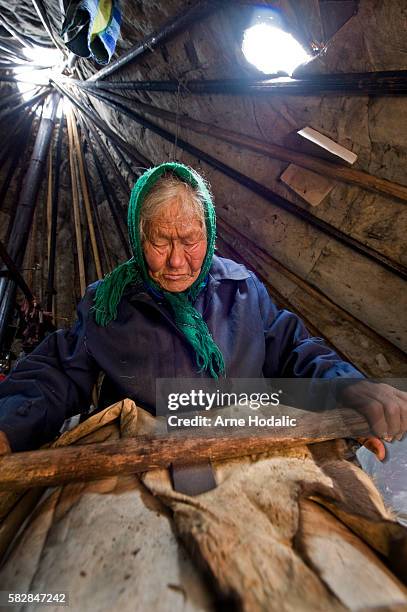 30 Chum (Tent) Stock Photos, HighRes Pictures, and Images Getty Images