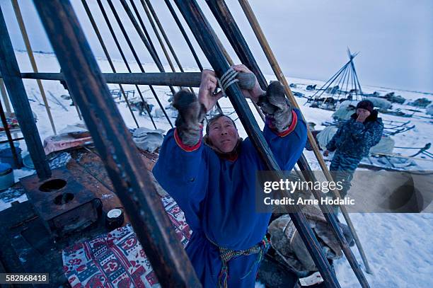 267 Nenets People Stock Photos, High-Res Pictures, and Images - Getty