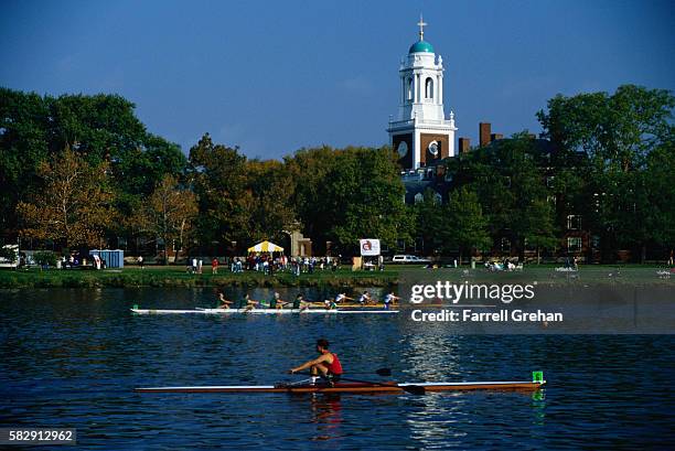 crew races at harvard university - ivy league bildbanksfoton och bilder