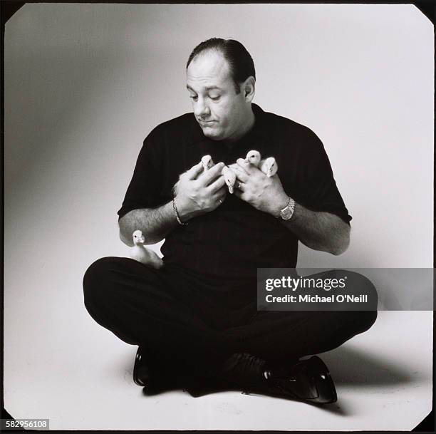 James Gandolfini