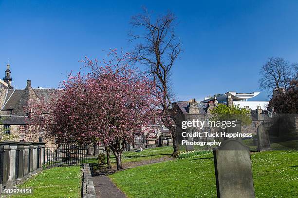 greyfriars kirkyard - edinburgh scotland stock pictures, royalty-free photos & images