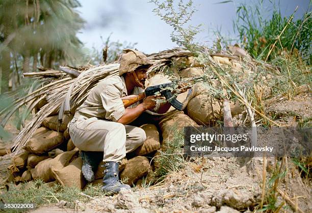 17,085 Iran Iraq War Stock Photos, High-Res Pictures, and Images