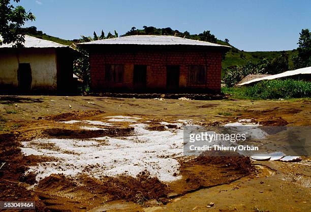 Lime covers a mass grave for villagers killed by the release of toxic gas from Cameroon's Lake Nyos. In August of 1986, the lake, which is located in...
