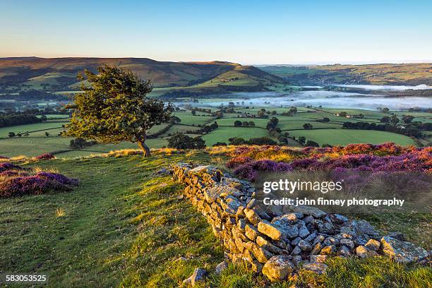peak district morning view, hope valley, england. - derbyshire foto e immagini stock