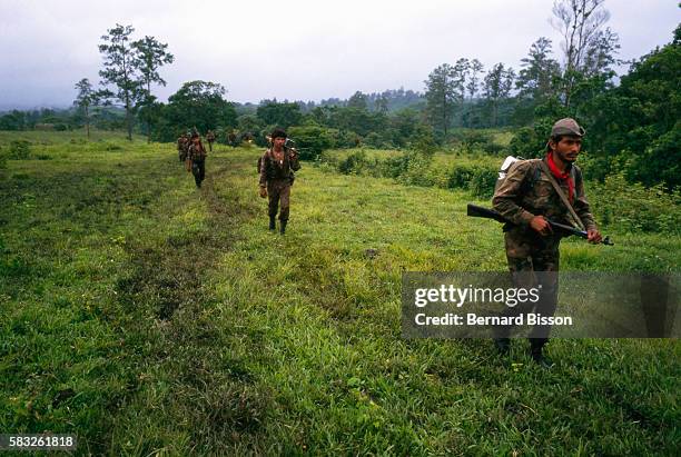 Los Contras 249 Nicaragua Contras Stock Photos, High-Res Pictures, and Images ...