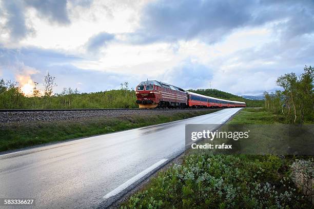 through norwegian taiga, saltfjallet - verwaltungsbezirk nordland stock-fotos und bilder