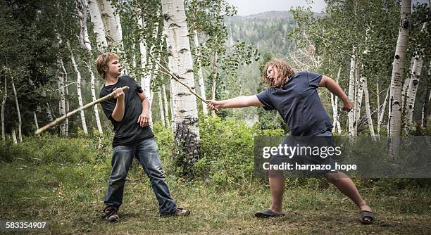 160+ African Stick Fighting Stock Photos, Pictures & Royalty-Free