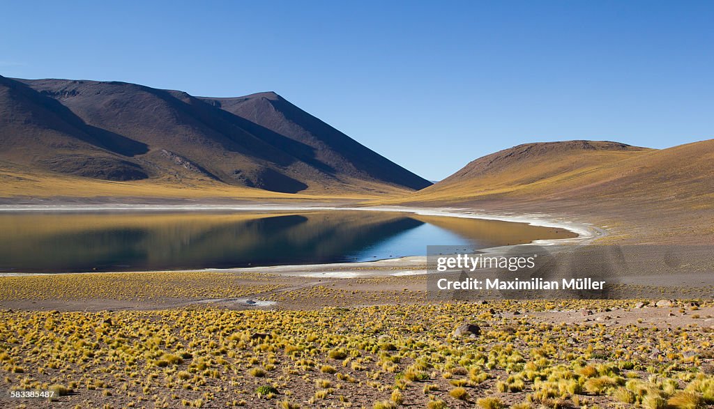 Laguna Miñiques near San Pedro de Atacama, Chile