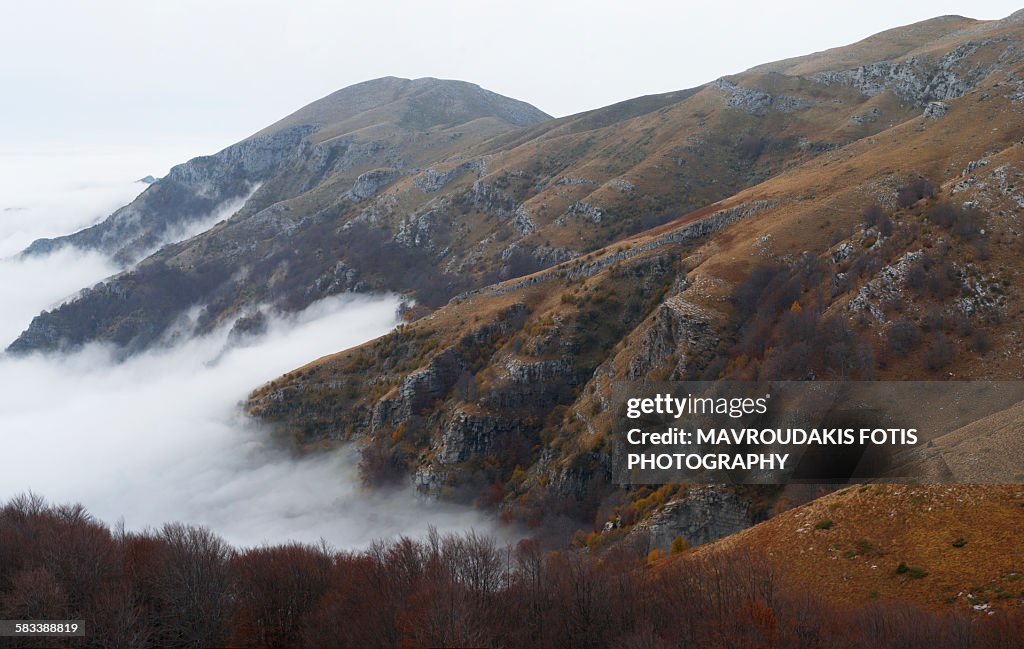 Foggy mountain slope