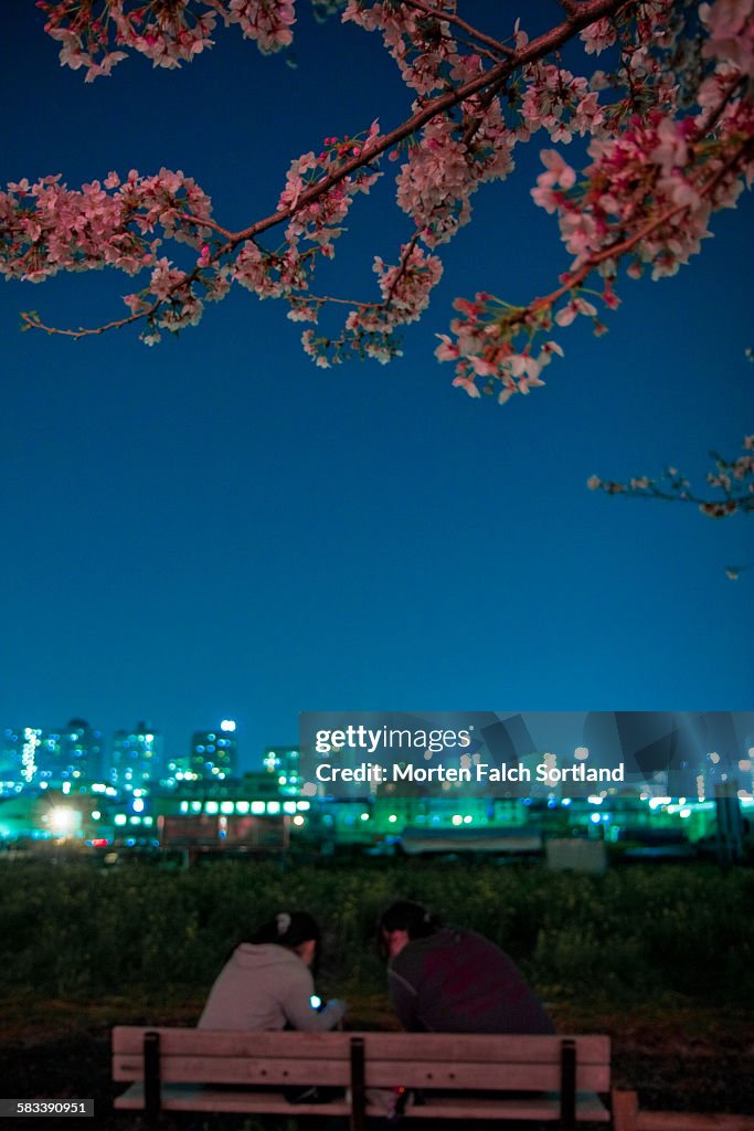 Park, people and cityscape