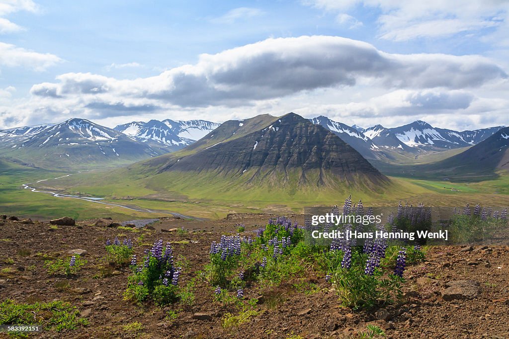 Mountains, Icland west fjords