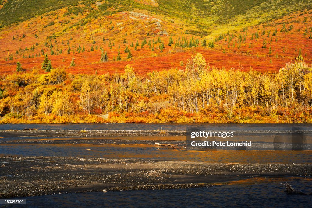 Autumn color