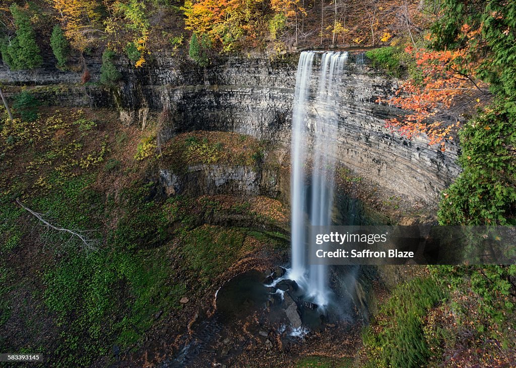 Autumn Falls