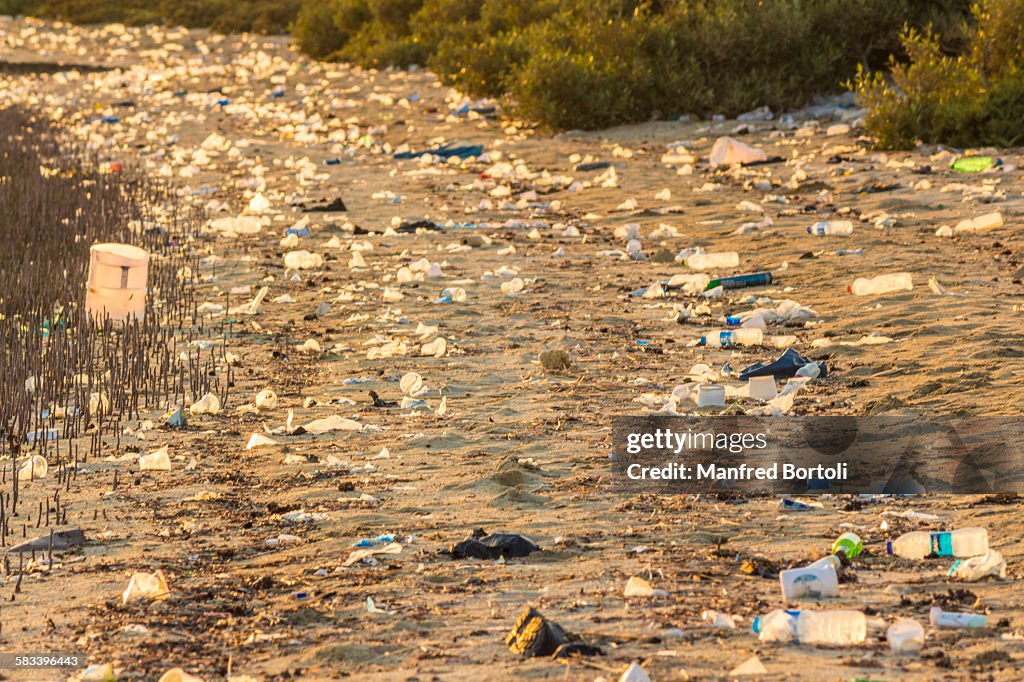 Garbage on the beach