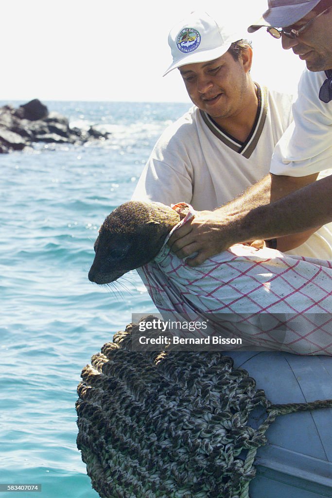 GALAPAGOS ISLANDS UNDER THREAT FROM OIL SPILL