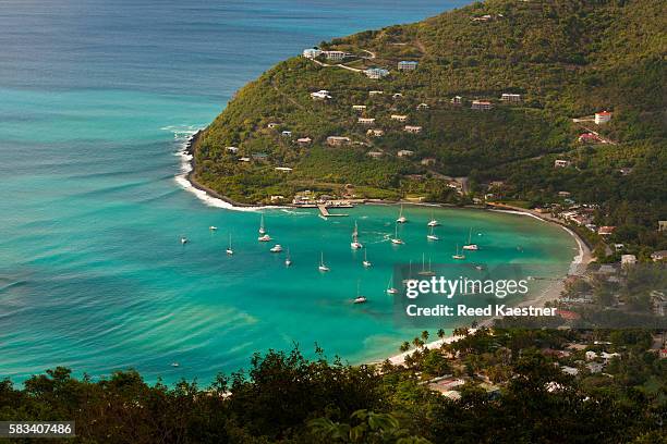 view of cane garden bay, tortola, british virgin islands from up on a hill looking east. - cane garden bay stock-fotos und bilder