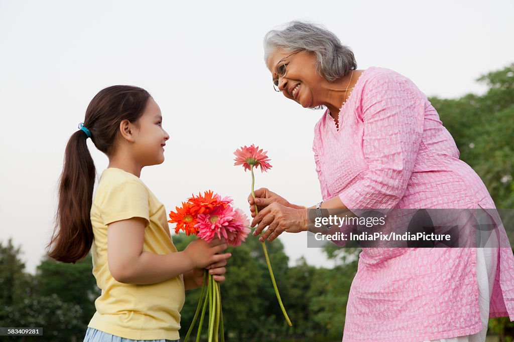 Grandmother accepting a flower from granddaughter
