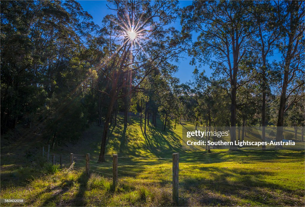 Narooma hinterland, southern coastline of New South Wales, Australia.