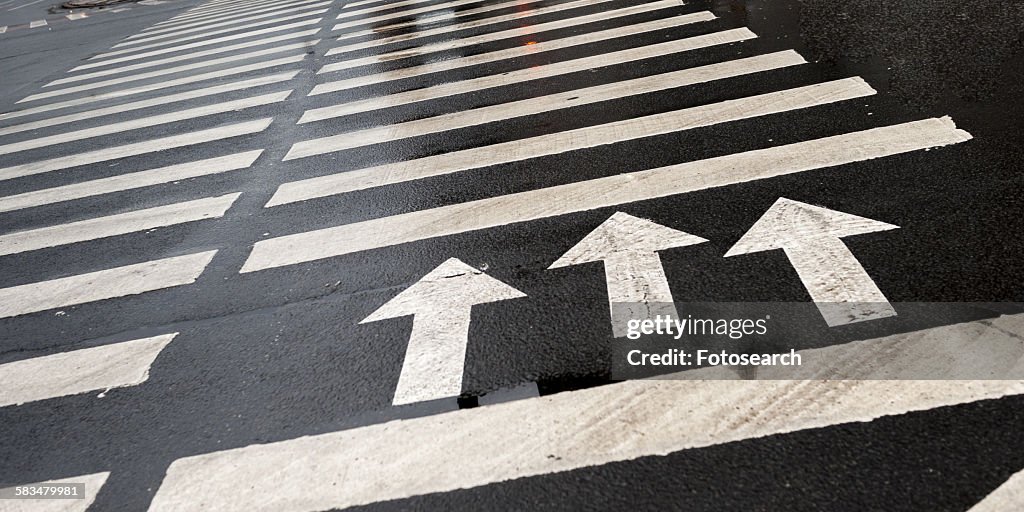 Arrow signs with crosswalk markings on the road