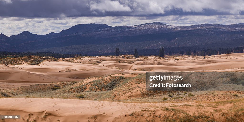 Desert with mountain range in the background