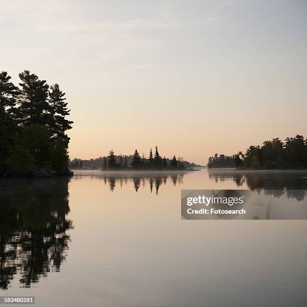 silhouette of trees at the lakeside - kenora stockfoto's en -beelden