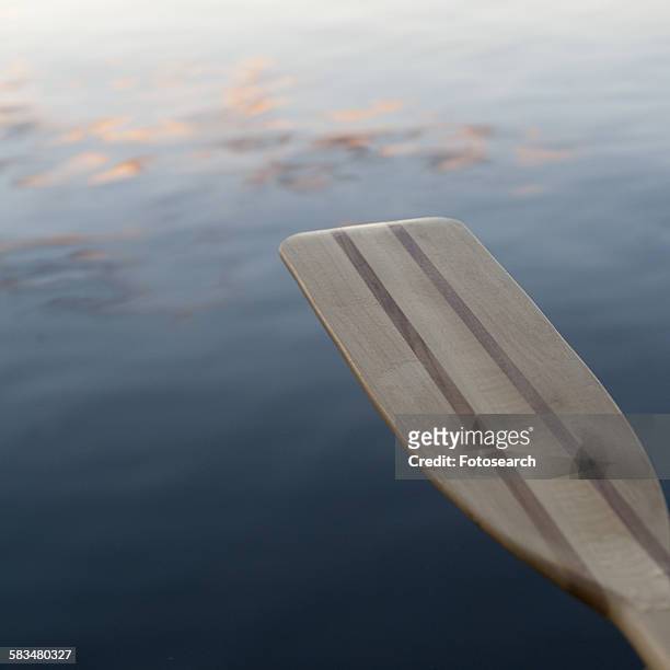 close-up of an oar - kenora stockfoto's en -beelden