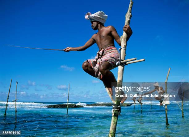 asia, sri lanka, weligama, stilt fishermen - indiska oceanen bildbanksfoton och bilder