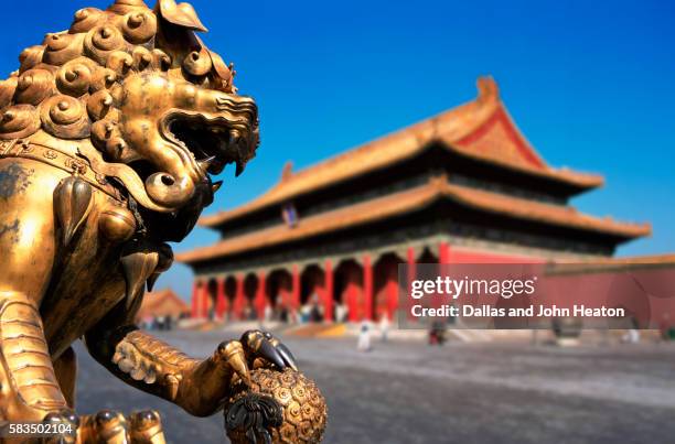 china, beijing, forbidden city, golden lion, guardian - forbidden city stock pictures, royalty-free photos & images