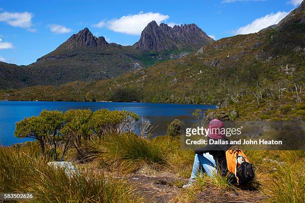 tasmania, cradle mountain - cradle mountain tasmania imagens e fotografias de stock