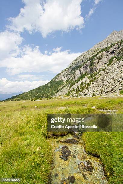 natural park adamello - adamello brenta nationalpark stock-fotos und bilder