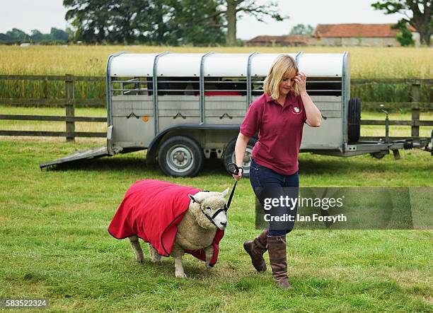 Woman walks one of her sheep into the pens at the 150th Ryedale Agricultural Show on July 26, 2016 in Kirkbymoorside, England. The Ryedale Show was...